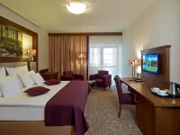 Hotel Mercure Krynica Zdrój Resort&Spa