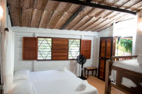 Entre Bosques Tayrona