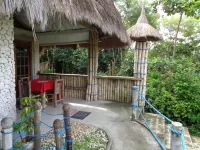 Sea Turtle House Moalboal