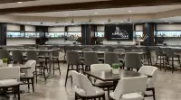 DoubleTree by Hilton Hotel Bloomington - Minneapolis South - bar