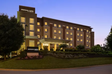 SpringHill Suites Roanoke Отели в г. Кейв Спринг