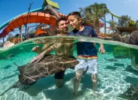 Holiday Inn SAN ANTONIO SEAWORLD by IHG - Resorts