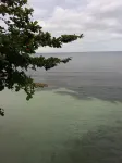 Sascha's Resort Oslob - 2-Star