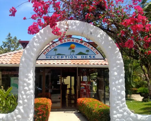Samara Beach Hotel Hotels in Samara