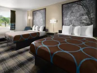 Super 8 by Wyndham Perry GA Hotels in Perry