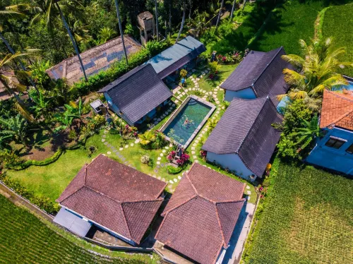 Buda Cottage Ubud - Orman evi