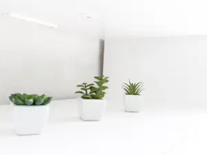 Centrum Apartement