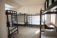 Traveler Hostel - Hostels