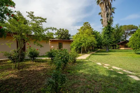 7 Garden Bungalow / Camping