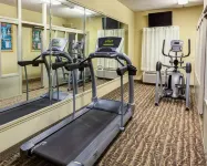 Comfort Inn Lexington I-75 - Gym