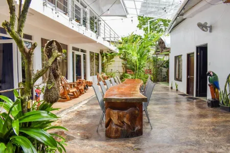 Hotel Serendipity Tortuguero Отели в г. Тортугеро