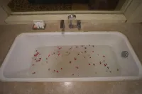 Radisson Udaipur - Hot Tub