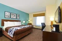 Sleep Inn & Suites Austin North - I-35 فنادق في Wells Branch