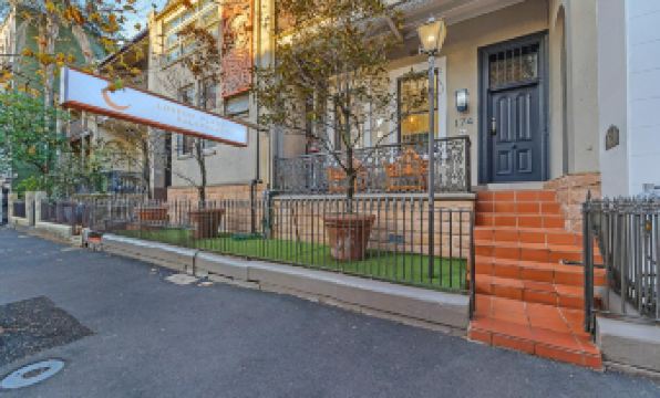 London Plane Backpackers