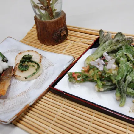Ichinokurasou