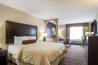 克拉麗奧飯店-埃爾姆赫斯特-橡樹溪近I-88-I-290-I-294 埃爾姆赫斯特住宿飯店