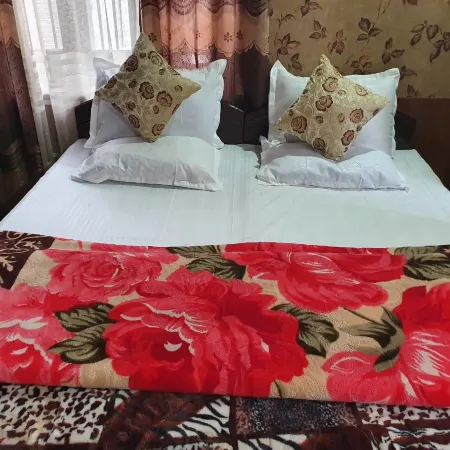 Hotel Wazir Palace