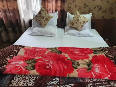 Hotel Wazir Palace Hotels in Lal Chowk