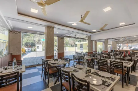 Treebo Premium Emerald Dove