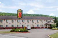 Super 8 by Wyndham Sidney NY Hotels in Afton