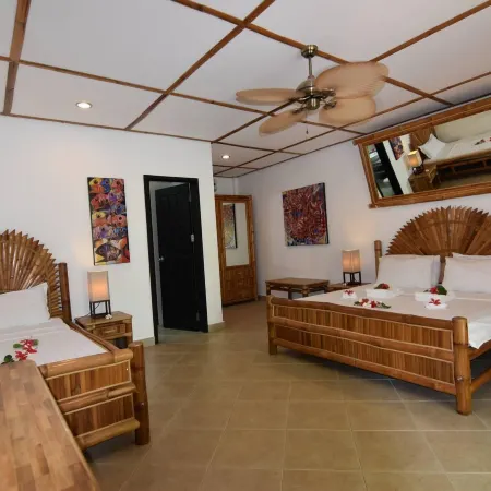 Dolphin House Resort Spa Diving