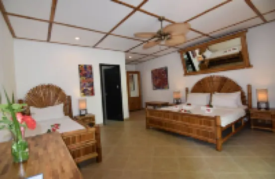 Dolphin House Resort Spa Diving