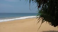 THE PLEASURE KOSGODA - Beach
