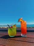 The Resort at Dolphin Heads - bar