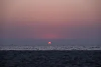 Palm Grove Beach Resort - Beach