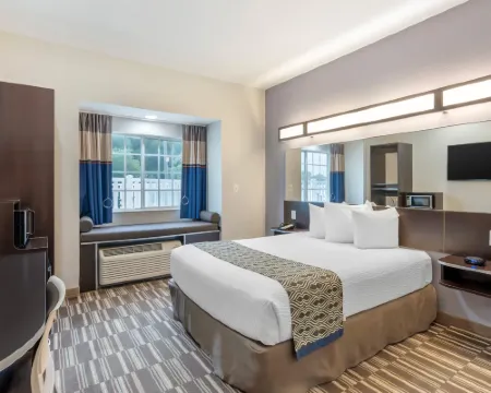 Microtel Inn & Suites by Wyndham Brooksville Hotels in Hernando County