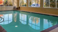 Hilton Garden Inn Boise Spectrum - piscina