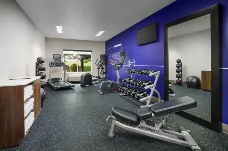 Holiday Inn Express Rochester NE - Irondequoit