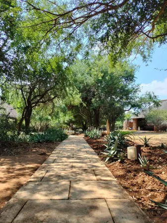 Karongwe - River Safari Lodge