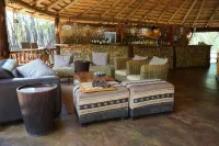 Honeyguide Ranger Camp - bar