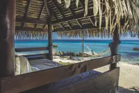 Le Coconut Lodge - Ocean View