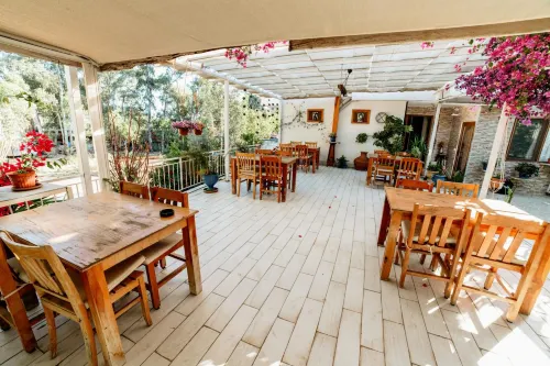 يوكاليبتس بينشن فنادق مميّزة Photos