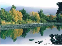 Creel Lodge Hotels in Turangi
