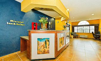 Microtel Inn & Suites by Wyndham New Braunfels