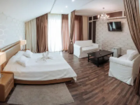 Premier Hotel Hotels in Gorodets
