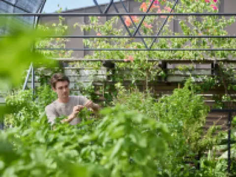 Laïla, Seychelles, a Tribute Portfolio Resort アンス・ロイヤルのホテル