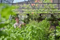 Laïla, Seychelles, a Tribute Portfolio Resort