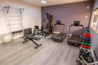 Carlton Plaza Hotel Uberlandia - Gym