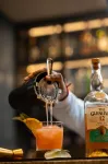 Villa Cavi - 酒吧