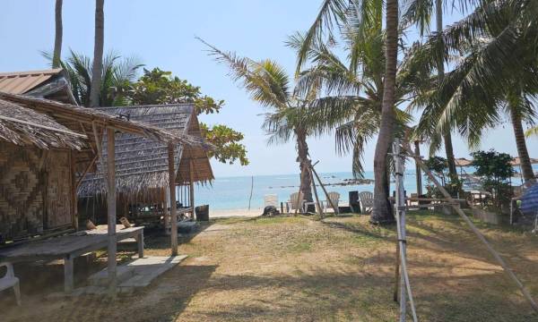Samui Camping Farm