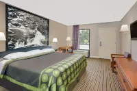 Super 8 by Wyndham Athens Hotels in Athens