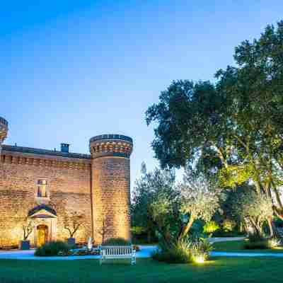 Château De Massillan Hotel Exterior