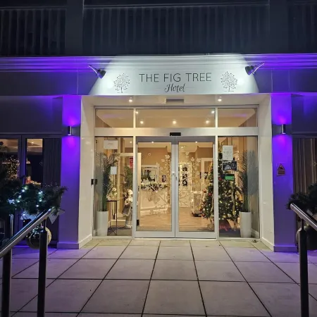 The Fig Tree Shanklin Отели в г. Шанклин