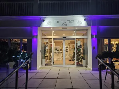 The Fig Tree Shanklin Hotels in Shanklin