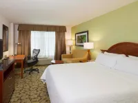 힐튼 가든 인 하트퍼드 사우스/글래스턴베리  호텔