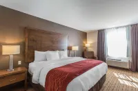 Comfort Inn - Gander - Gym